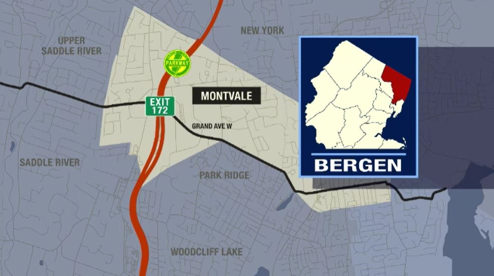 MontvaleBushCrashMap.JPG