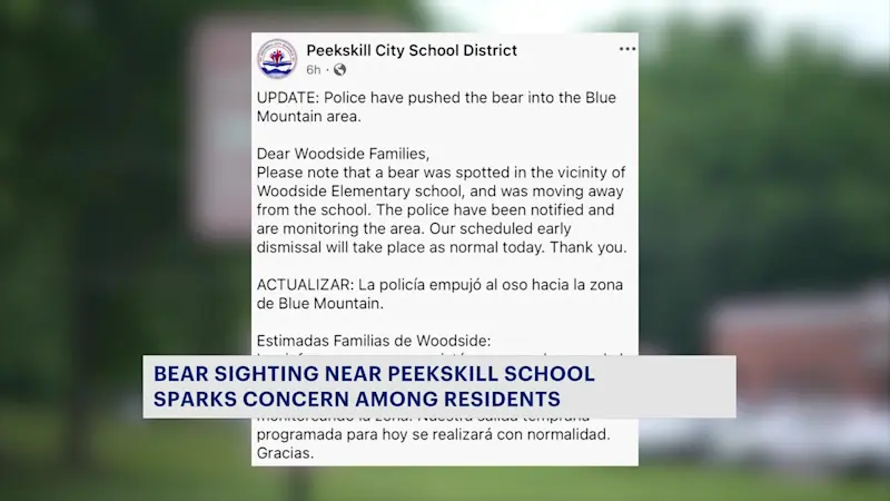 Story image: Bear spotted near Peekskill elementary school