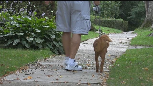 Article 132515 Thumbnail