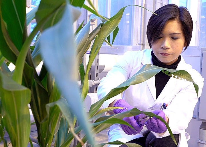 Article 5553 Thumbnail