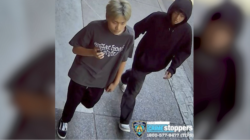 Story image: NYPD seeks public's help identifying Lower East Side assault suspects