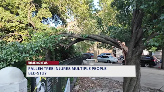 RTBKTompkinsAveTreeVPersonRFlaks9pm_2026-07-25-21-21-24