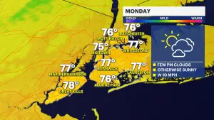 Sunny and pleasant Monday kicks off warm week in Brooklyn