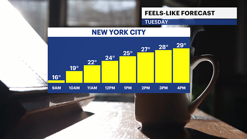 Story image: Deep freeze eases as snow chances return in The Bronx