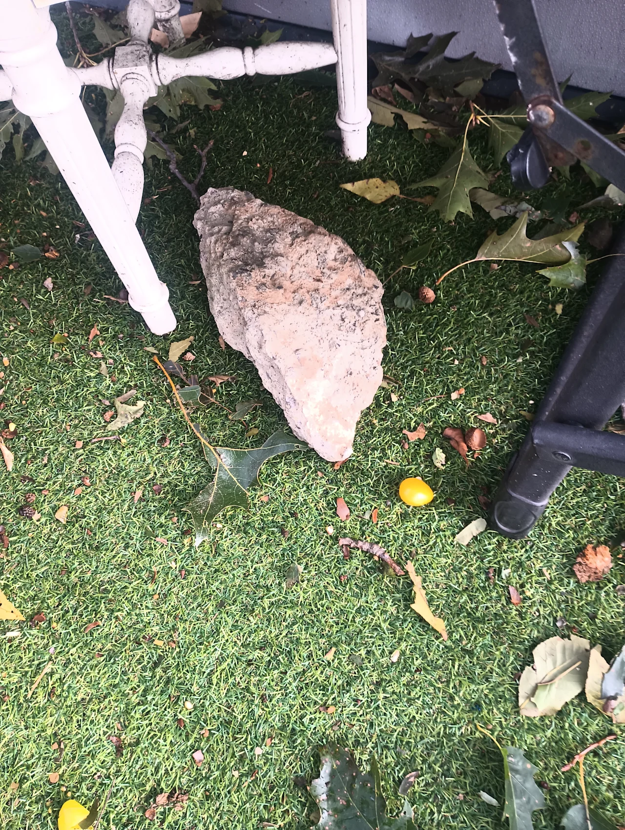 IMG 20260929 091331569