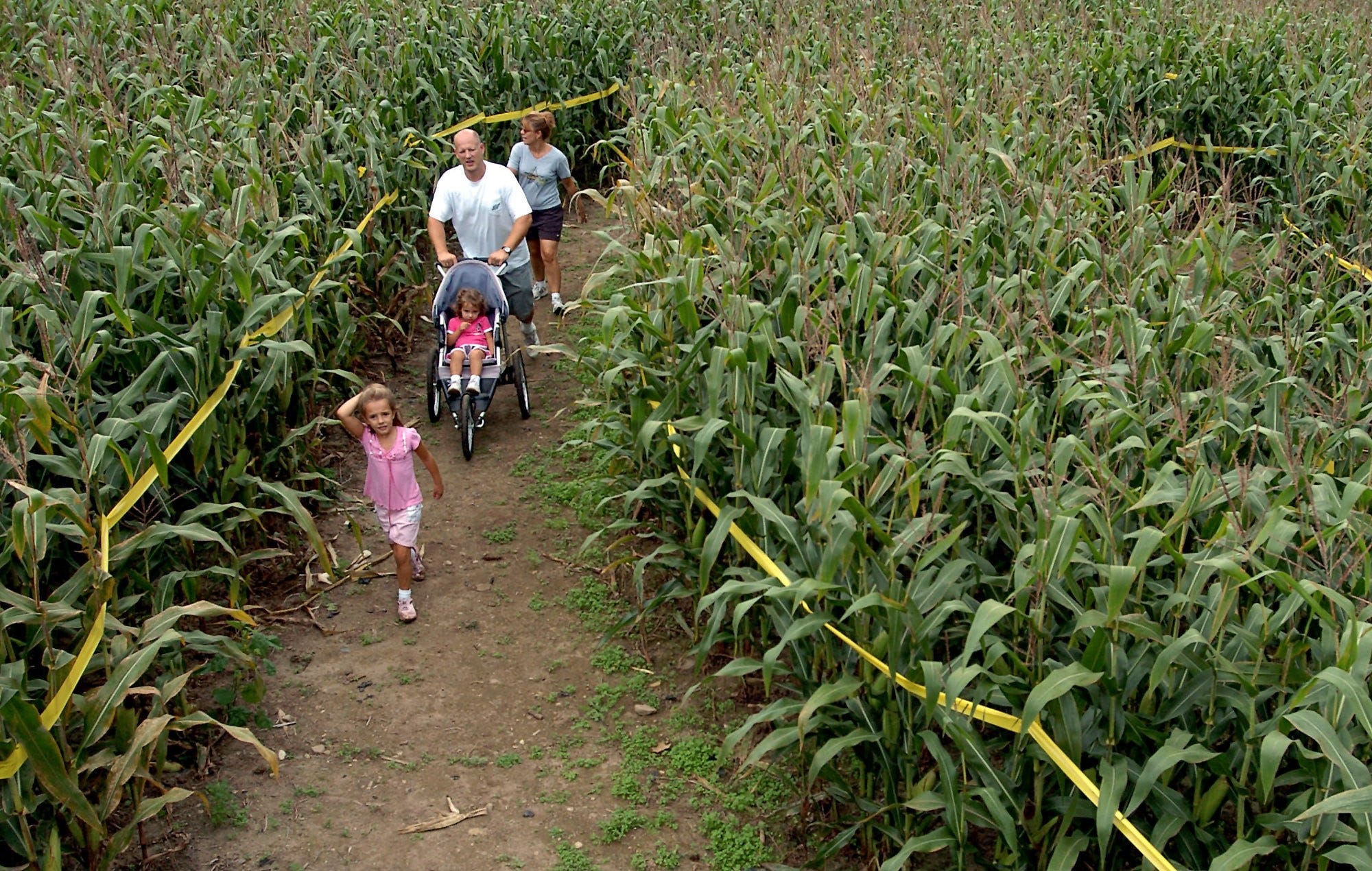 Article 42395 Thumbnail