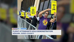 Flight attendants hold demonstration at Newark Liberty International Airport