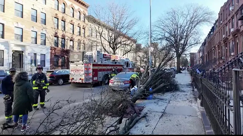 Story image: Strong winds knock out power in Brooklyn neighborhoods