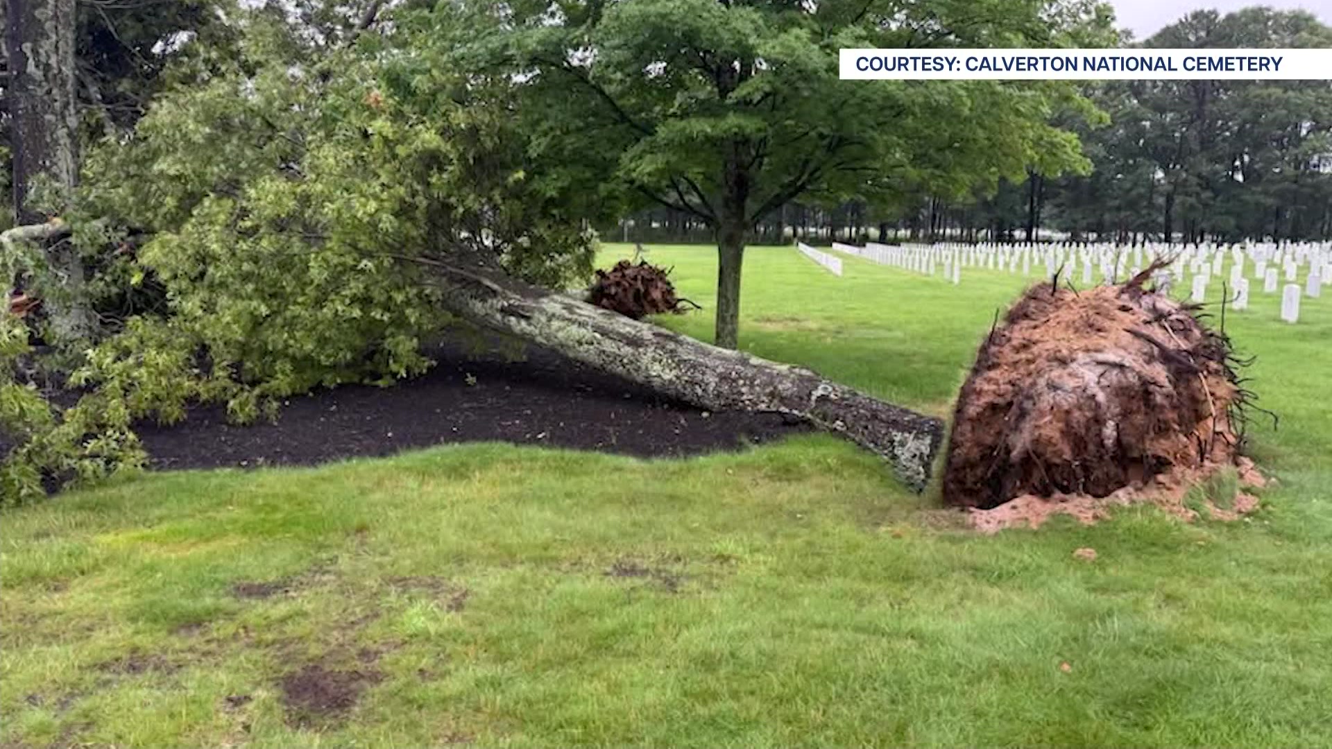 li5pmbollogannews12stormdamage_2026-07-07-17-17-44