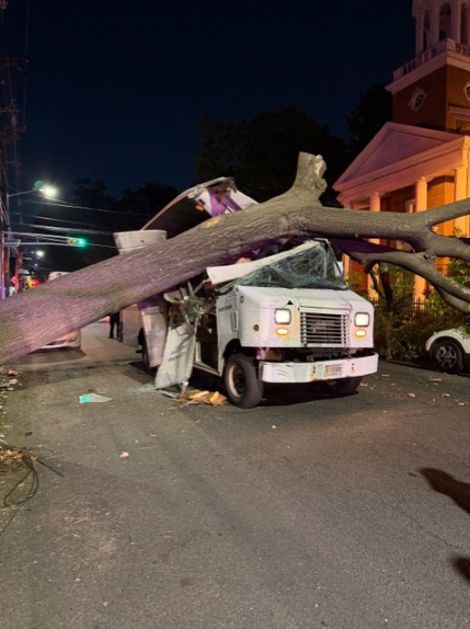CAR VS TREE NEWARK 001.png