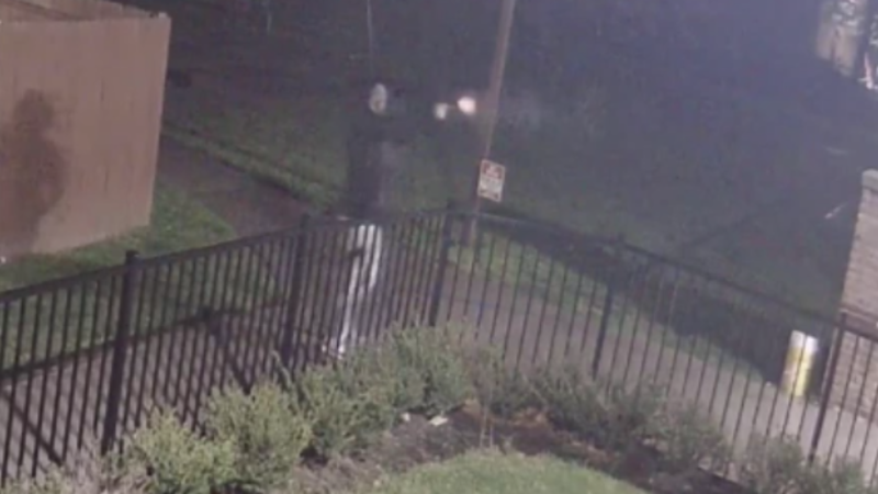 Story image: Suffolk DA announces arrests of Huntington Station gang members