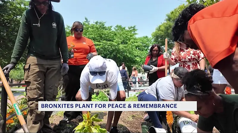Story image: Family of gun violence victims plant flowers at St. Mary's Park
