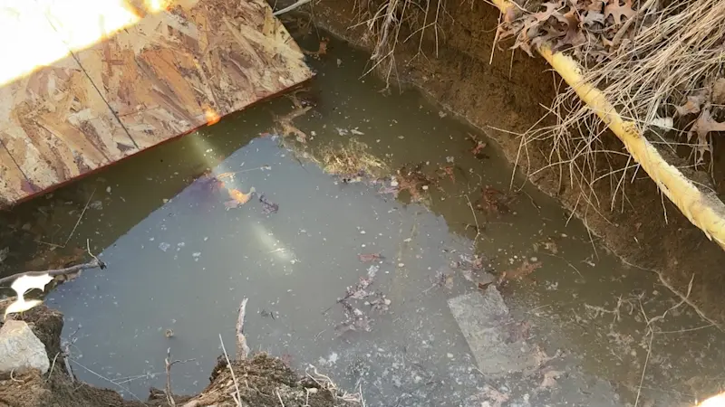 Story image: Bridgeport health officials investigate complaints of 'raw sewage' outside East Side home