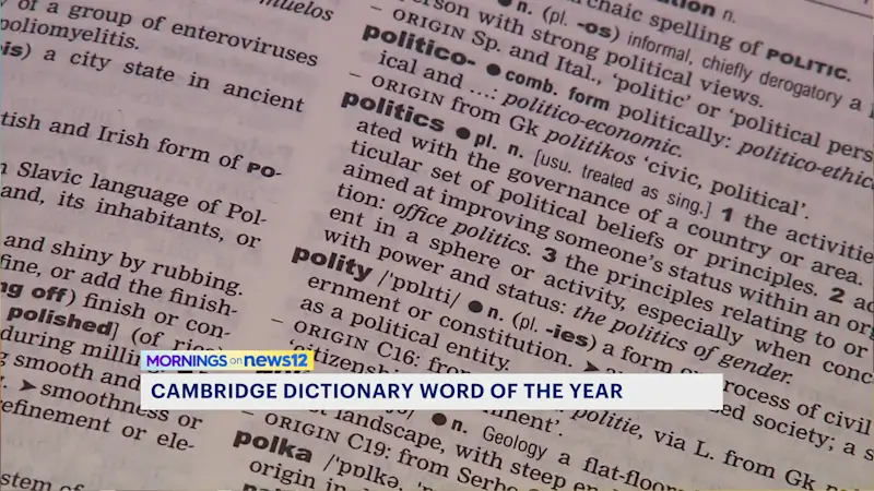 Story image: 'Parasocial' tops Cambridge Dictionary's list for 2025 word of the year