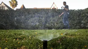 20 handy tips to conserve water and save money this summer