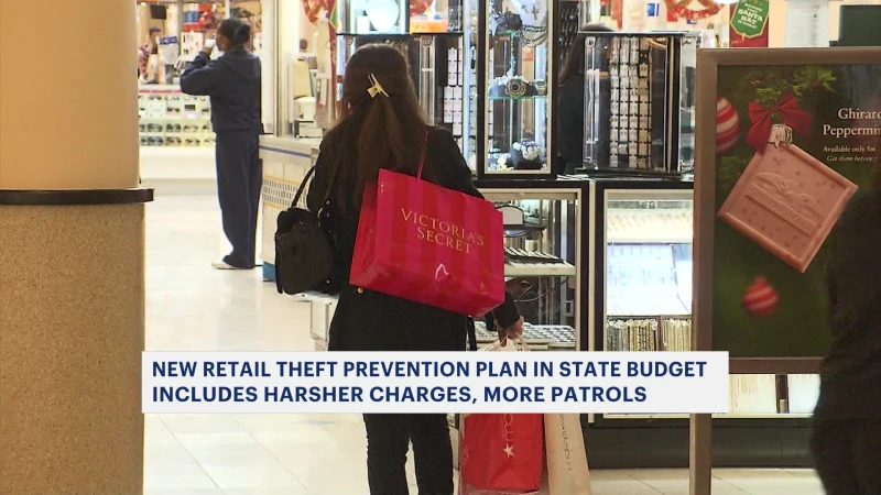 Story image: New retail theft prevention plan in state budget includes harsher charges, more patrols