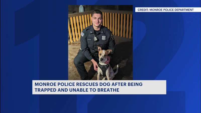 Story image: Monroe police officer praised for rescuing puppy from near-death experience