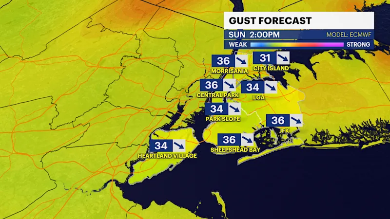 NY_F_Gust_ECMWF_9k.png