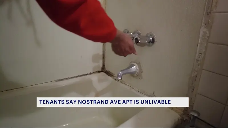 Story image: Residents at an East Flatbush apartment say unlivable conditions persist, even after new management takes over