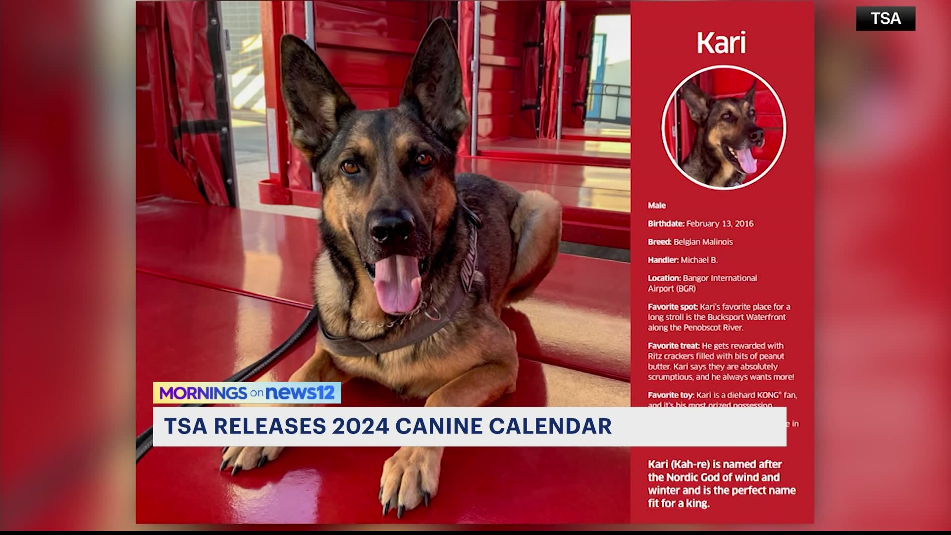 Pawsitively Cute TSA releases its 2024 canine calendar