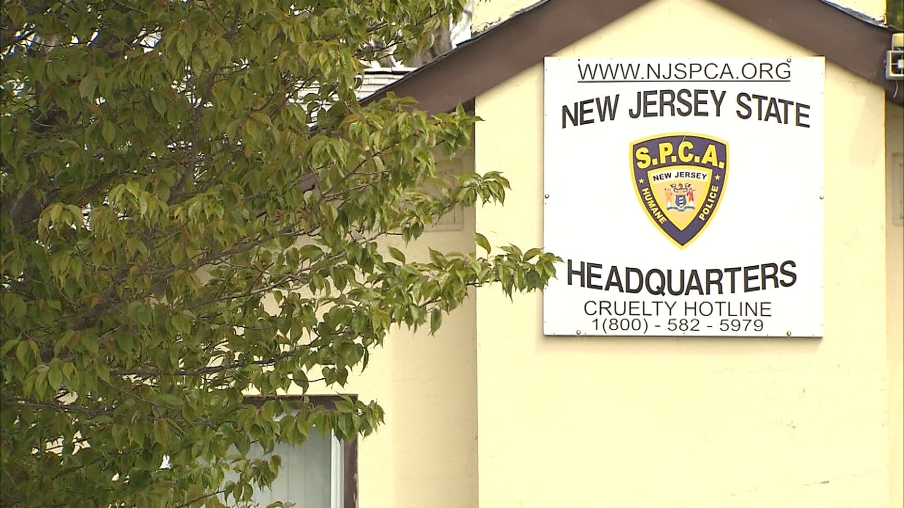 Article 118797 Thumbnail