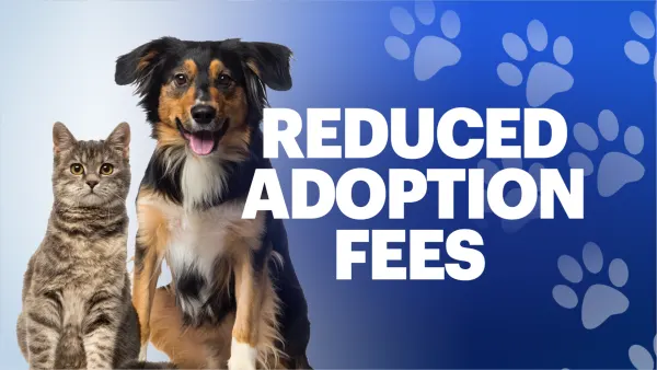 South Jersey shelter running $1 dog adoption special