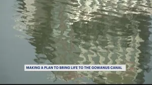 State planning to formally investigate damage to Gowanus Canal