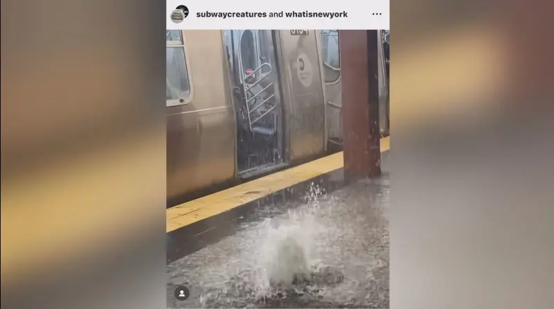 Story image: Weekend storm causes flooding across several Manhattan subway stations