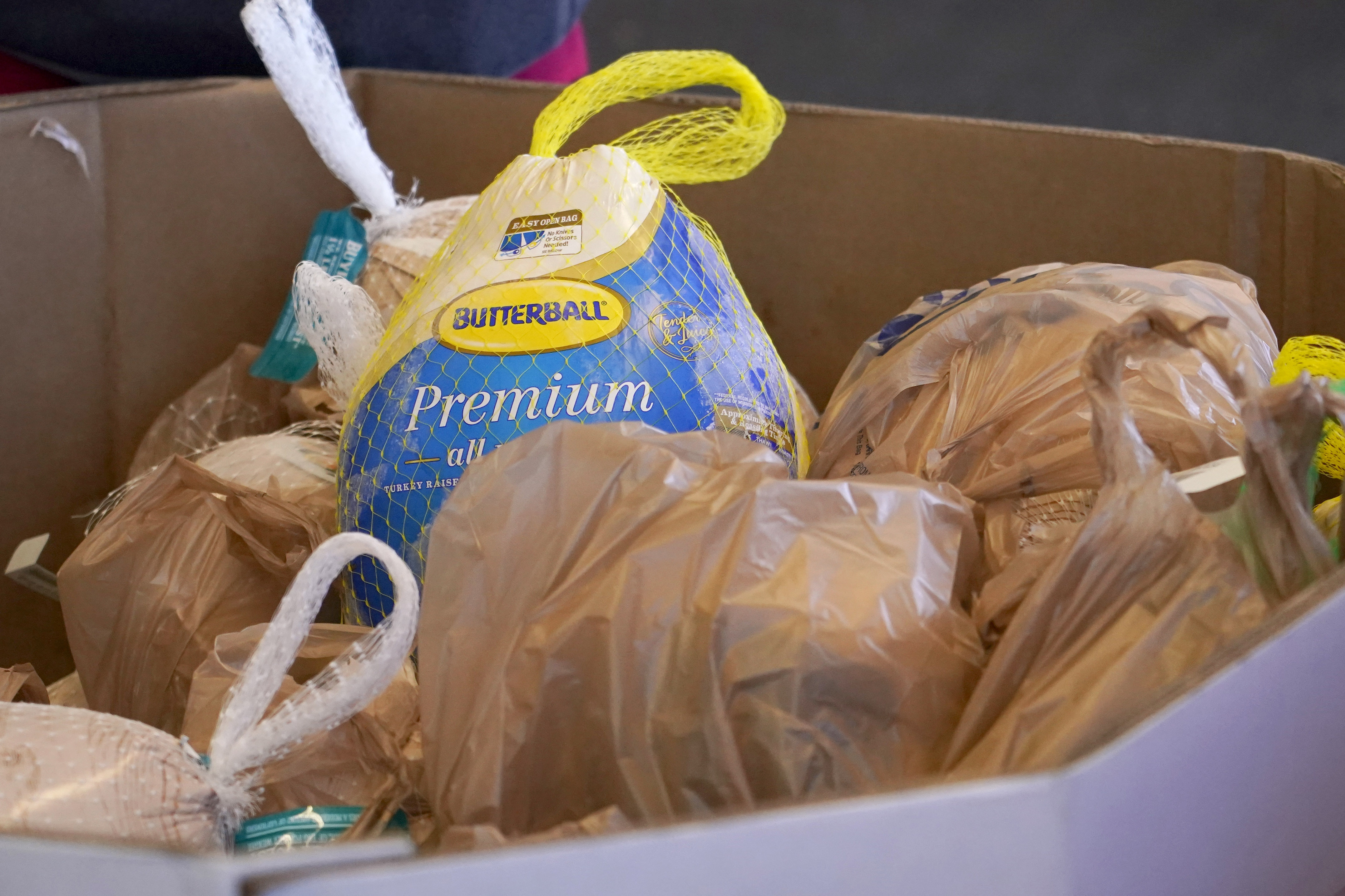 Article 277294 Hero Image