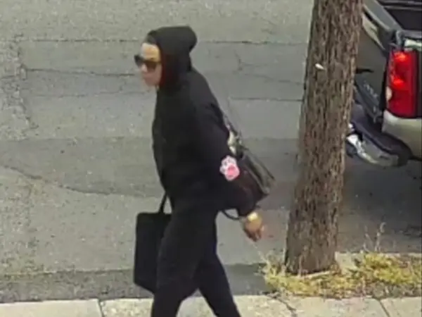 Story image: Newark police seek woman accused of stealing package from home