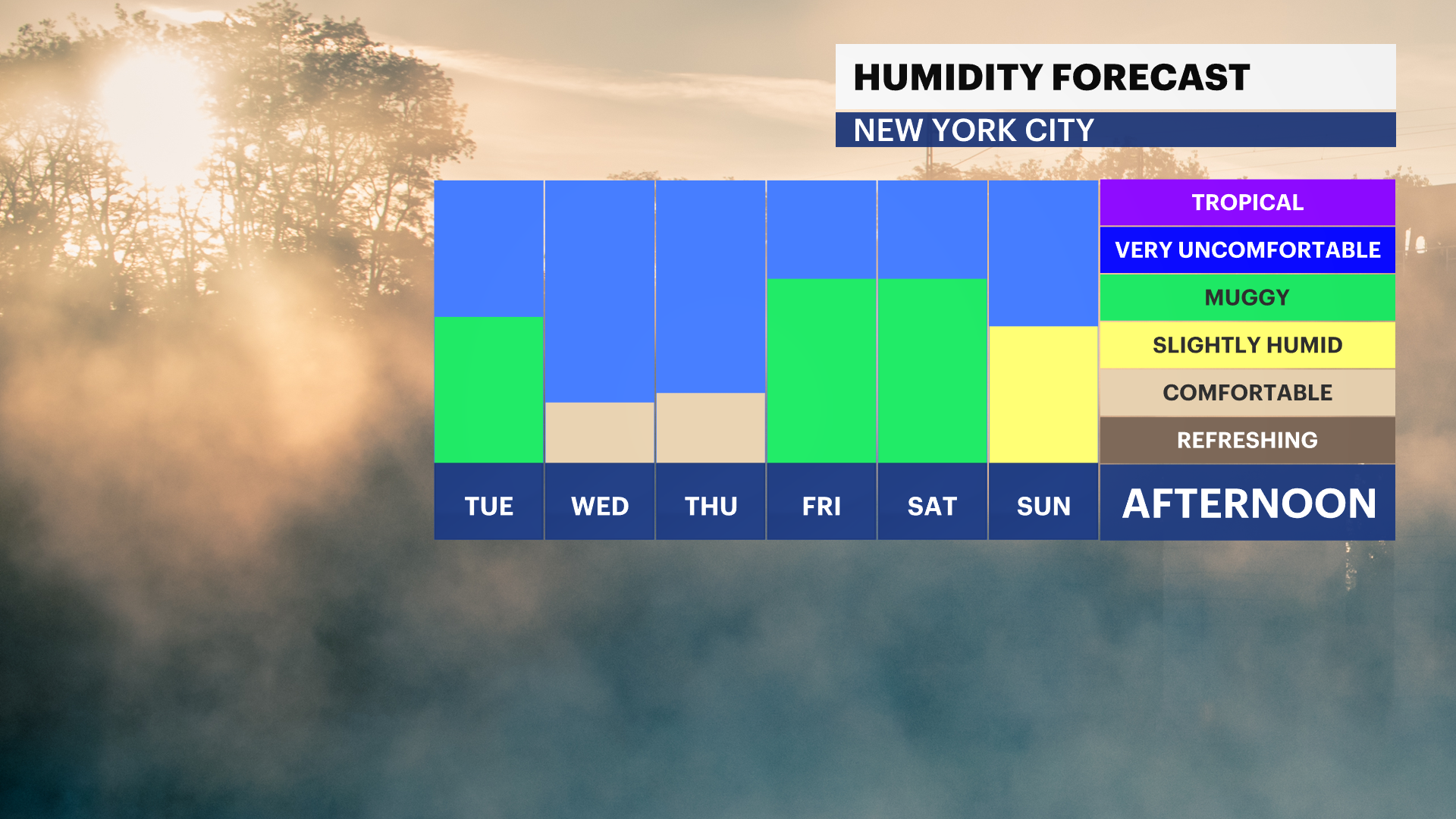 NY_3.png