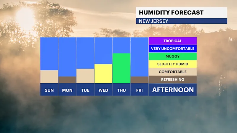 FB_Dewpoint_Daily.png