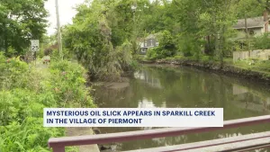 Village of Piermont neighborhood concerned over mysterious oil slick at nearby creek