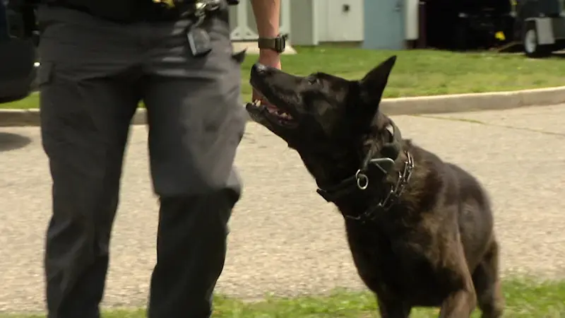 Story image:  K-9 units start preparations for Ryder Cup safety in Bethpage 
