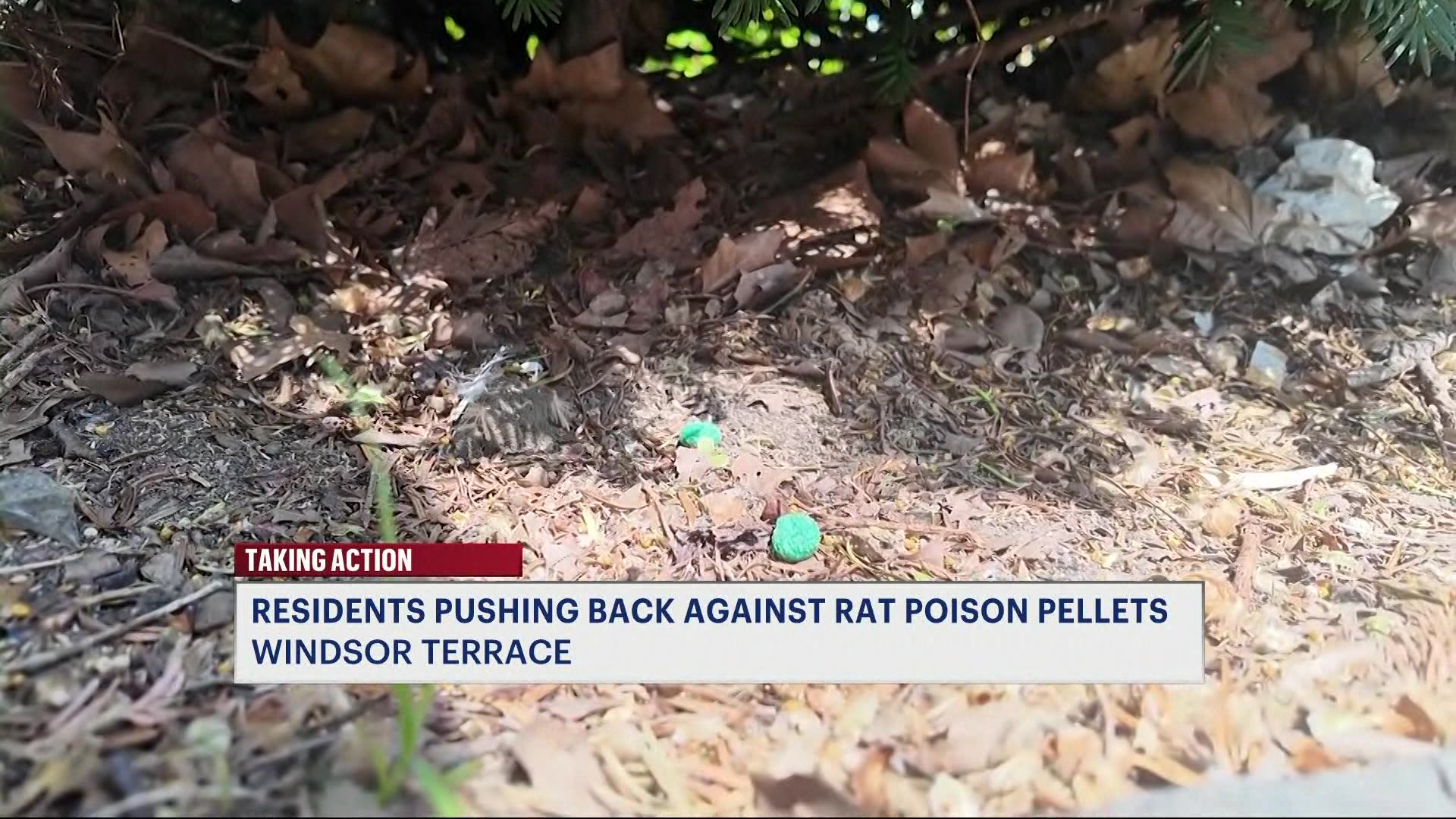 BKPOISONDAYCARE42726_2026-04-27-05-57-59