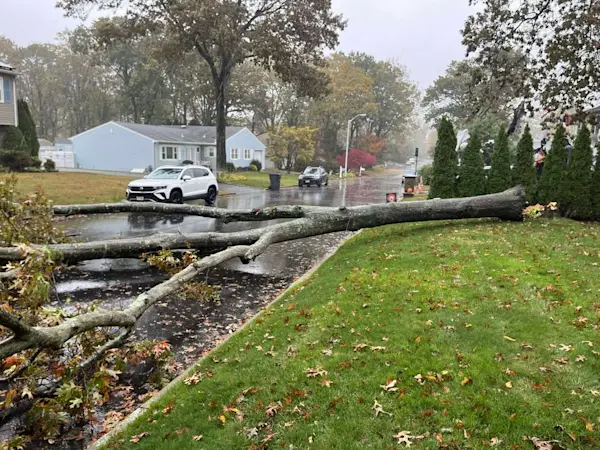 Story image: Your New Jersey Storm Photos