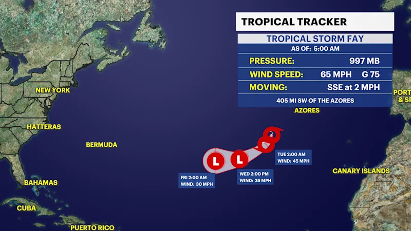 TS-FAY.png