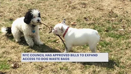 RG DOG WASTE BILL PASSES7A_2026-08-14-07-59-58