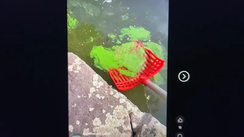 Story image: Greenwood Lake officials ban boating and kayaking amid possible harmful algae in lake's north arm
