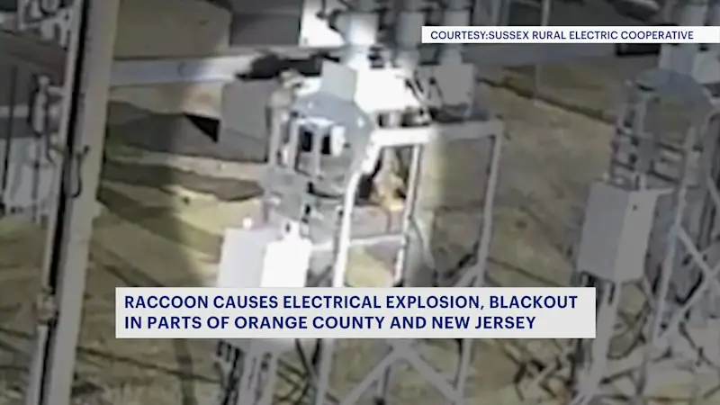 Story image: Raccoon causes multistate power outage