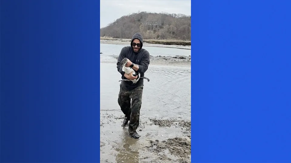 loonrescue