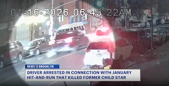 hit and run arrest 2