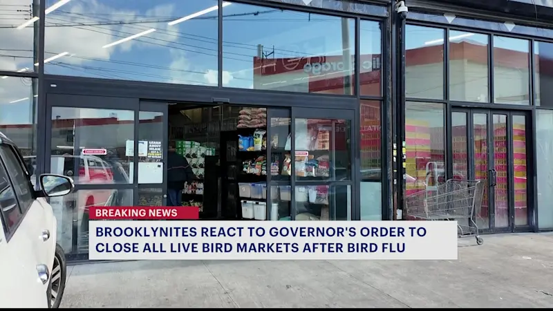 Story image: Brooklyn residents brace for impact on restaurants, shopping following governor's order to close live poultry markets amid bird flu