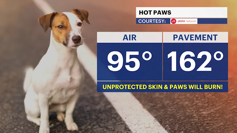 X_Hot_Paws_Pets.png