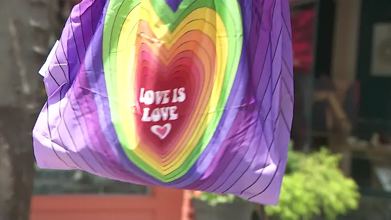 Story image: Pride Month: Hundreds take part in Rockland Pride Sunday