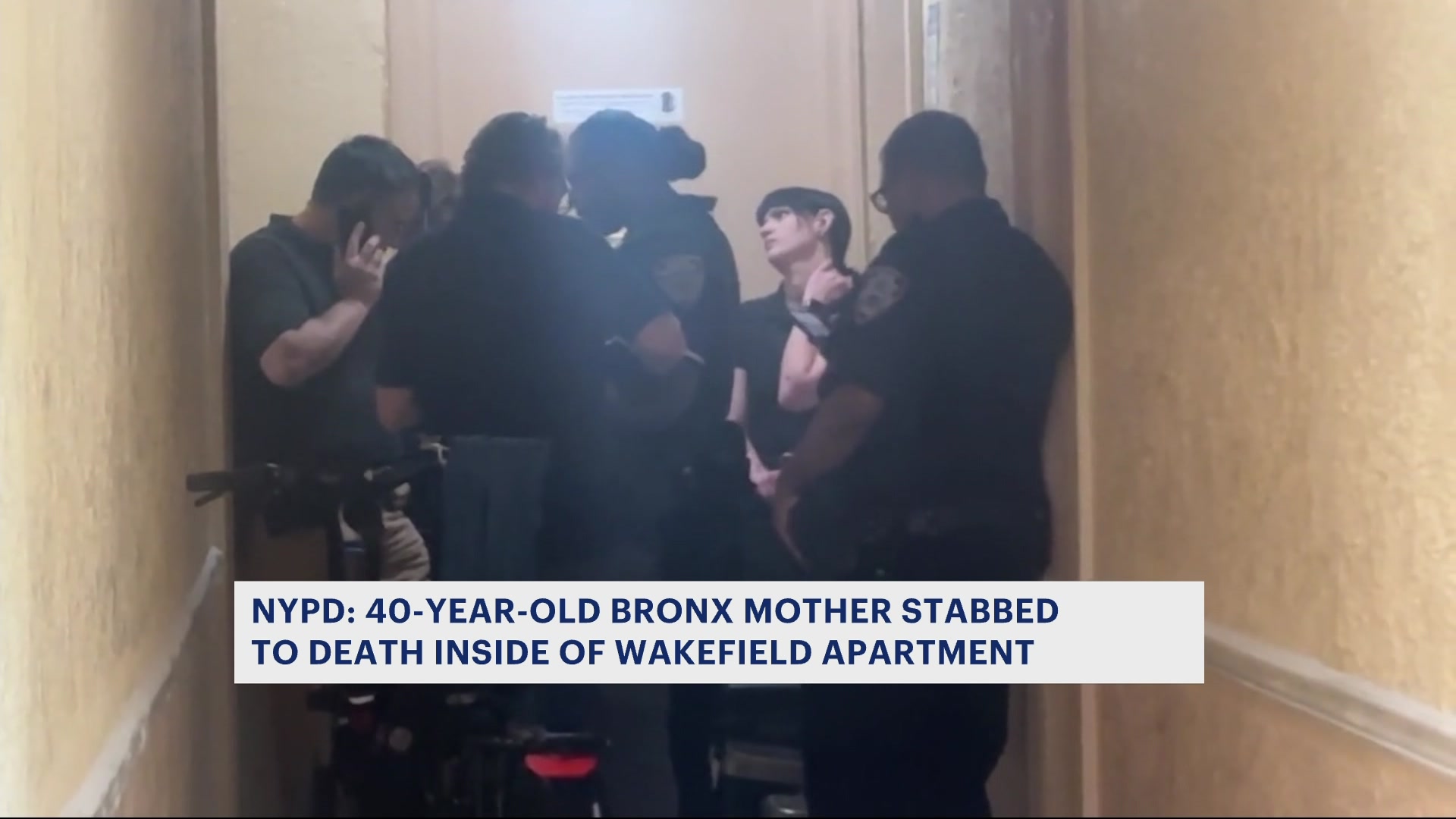 News 12 | Bronx | Police Sources Domestic Dispute In Wakefield Leads To ...