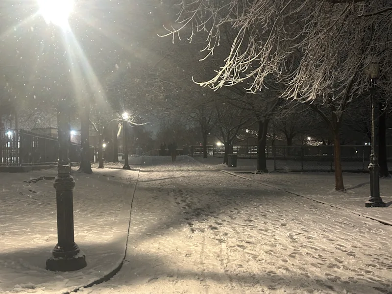 BXBushwickSnowSun01182026RFFlaks002.jpg