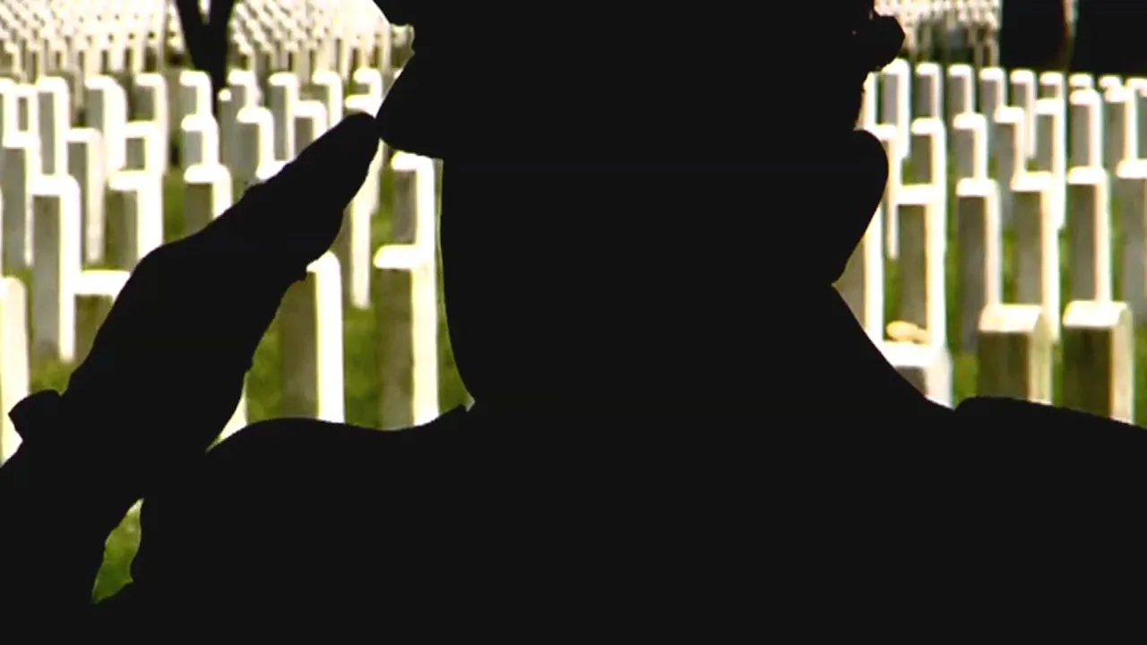 Article 114048 Thumbnail