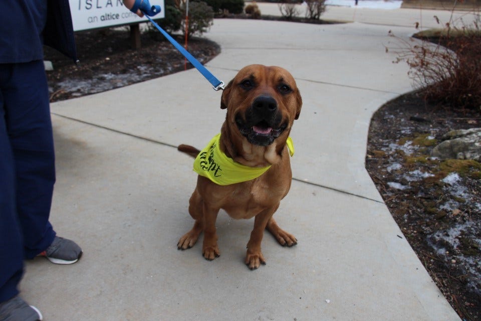 Article 50226 Thumbnail