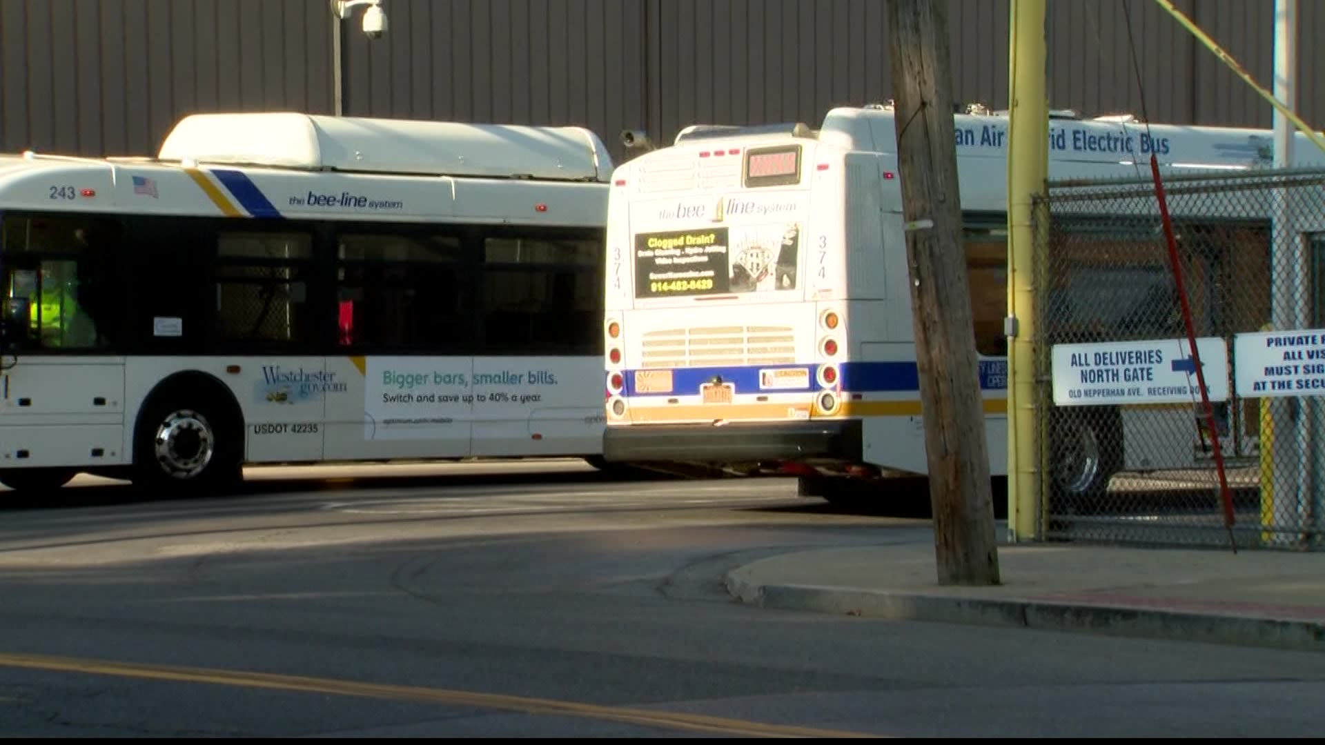 Not just for seniors, Beeline Bus serves all residents, Local News